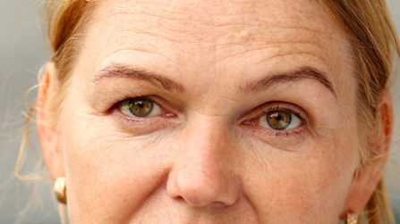 Ageing 2 Ageing