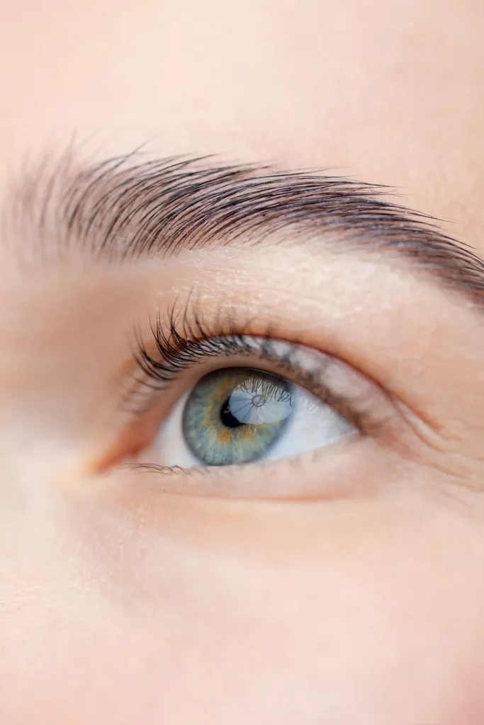 Eye Lash Tint 2 Eye Lash Tint