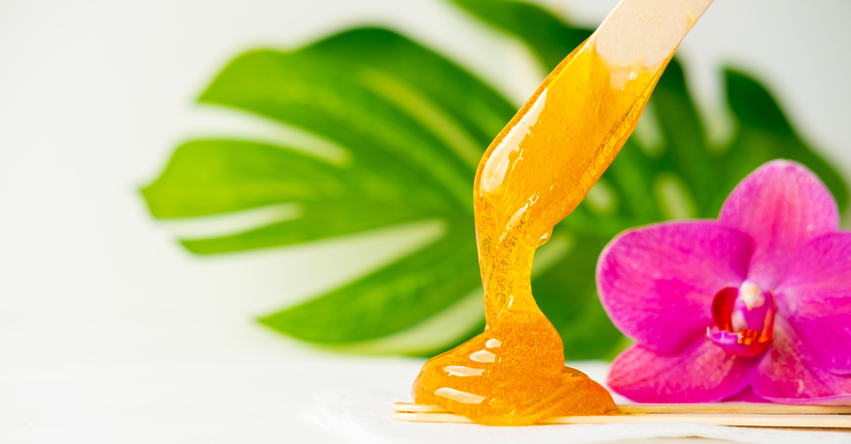 Full Leg & Bikini Wax 1 Full Leg & Bikini Wax
