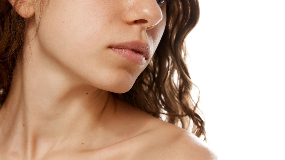 Jaw Definition 2 Jaw Definition 1