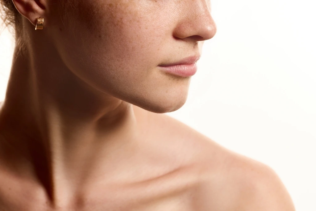 Jaw Definition 1 Jaw Definition 2